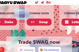 Wagyuswap review: Wagyuswap current market price prediction token 2021