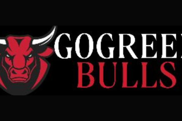 Gogreenbulls.com review (Is gogreenbulls.com legit or scam?) check out