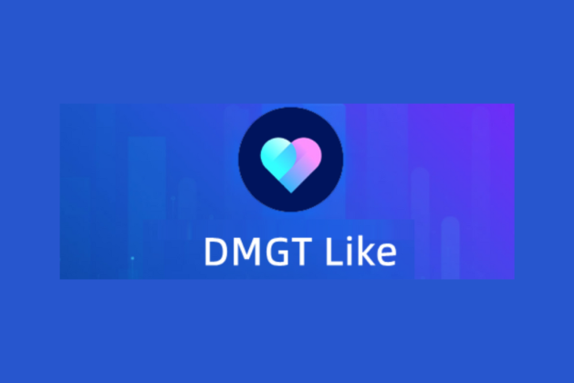 Dmgt.vip review (Is dmgt.vip legit or scam?) check out