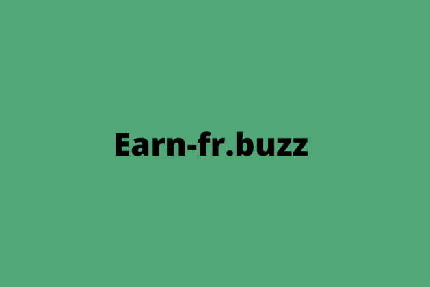 Earn-fr.buzz review (Is earn-fr.buzz legit or scam?) check out