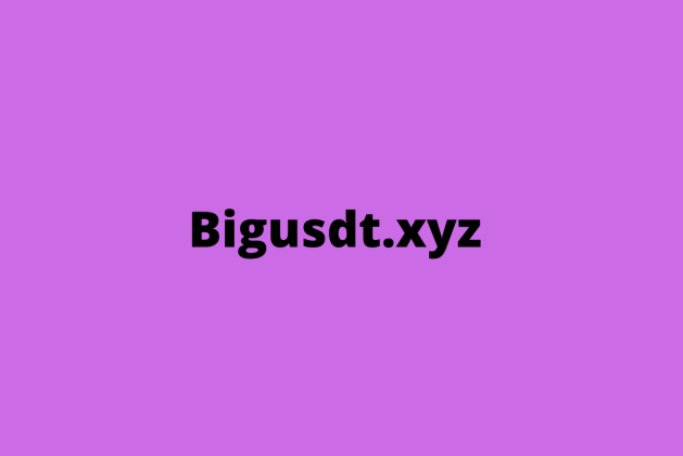 Bigusdt.xyz review (Is bigusdt.xyz legit or scam?) check out