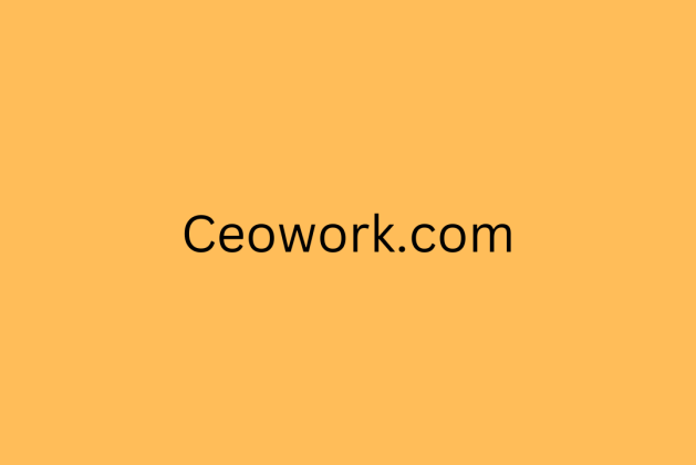 Ceowork.com review (Is ceowork.com legit or scam?) check out