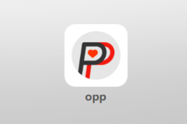 Opp-gasoline.vip review (Is opp-gasoline.vip legit or scam?) check out