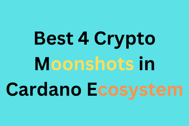 Best 4 crypto moonshots in cardano ecosystem