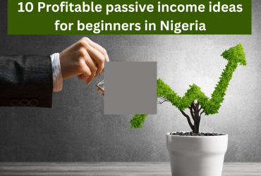 10 Profitable passive income ideas for beginners in Nigeria