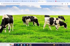 Workcow.tech review (Is workcow.tech legit or scam?) check out