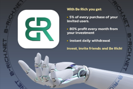 Make Money with Be Rich Project