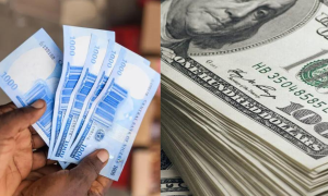 Black Market Dollar to Naira Exchange Rate Today 7th March 2024
