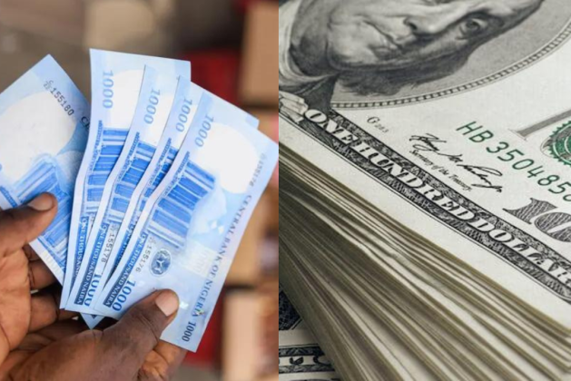 100 Dollars to Naira Black Market Exchange Rate Today 5th March 2024